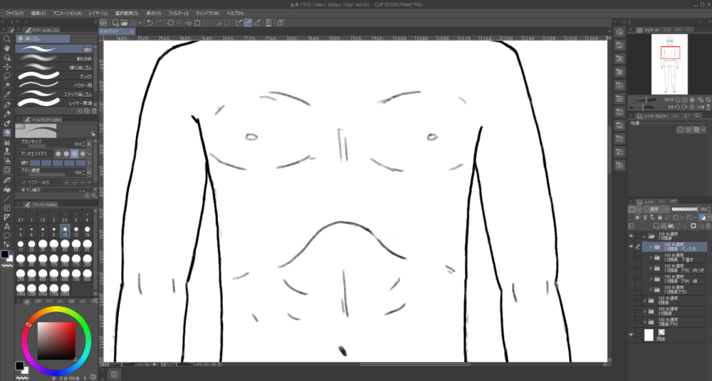 Clip Studioで成人男性の裸体のイラストの胸と腹の部分に筋肉を表した線を描いた様子をアップで示した画像